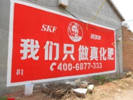 陇川刷墙广告”蕴含了时代命题
