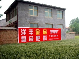 陇川如何让墙体广告展现最大化效果
