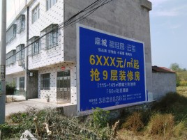 陇川墙体广告质量分析