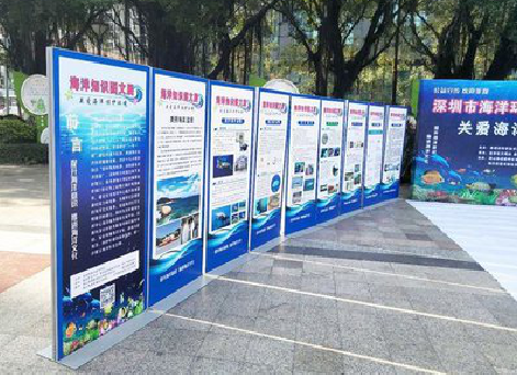 陇川KT板的种类和知识。